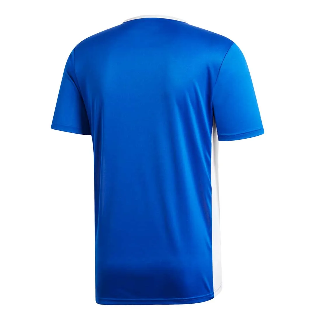 Adams - Maillot Entrada 18 Homme (CF1037)
