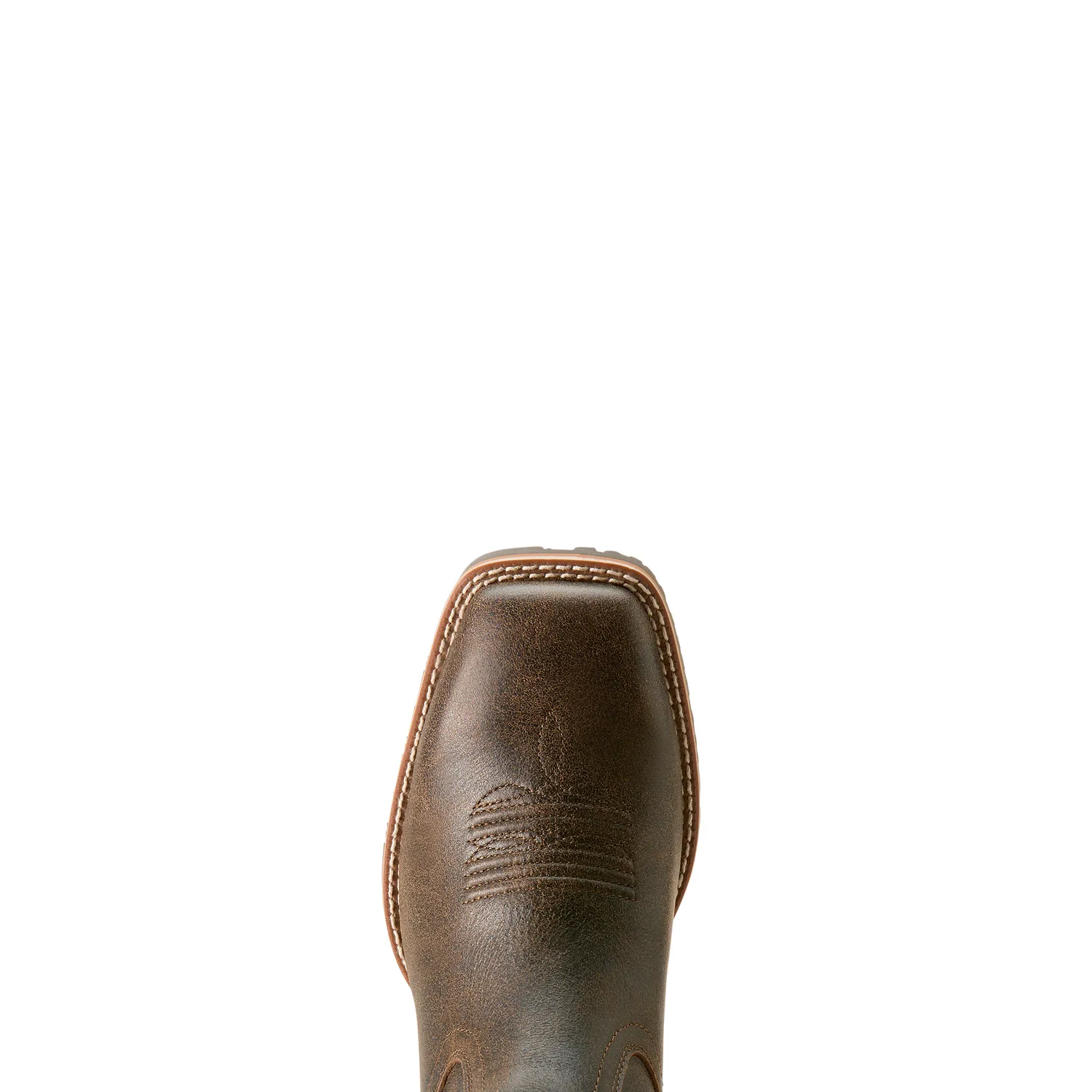 Ariat Chaussures Hybrid Low Boy pour Homme - Gland