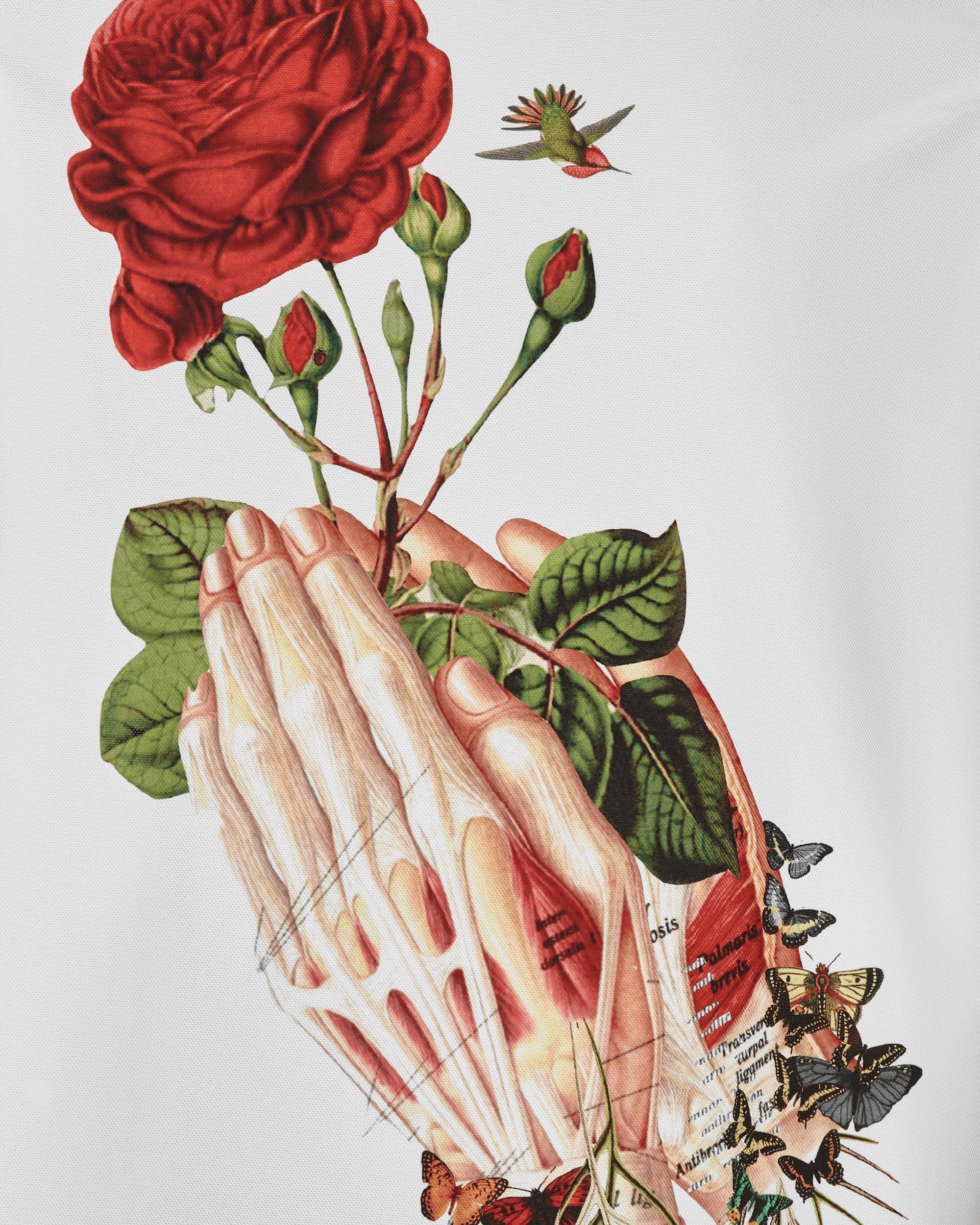 Bedelgeuse Graphic T-Shirt White