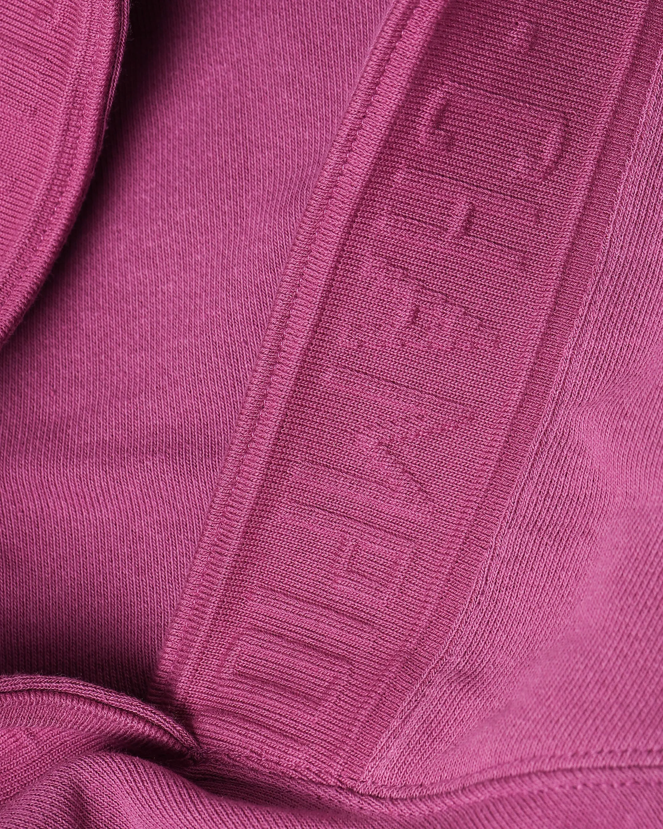 Champion Reverse Weave Sweat à capuche en éponge Terry Berry