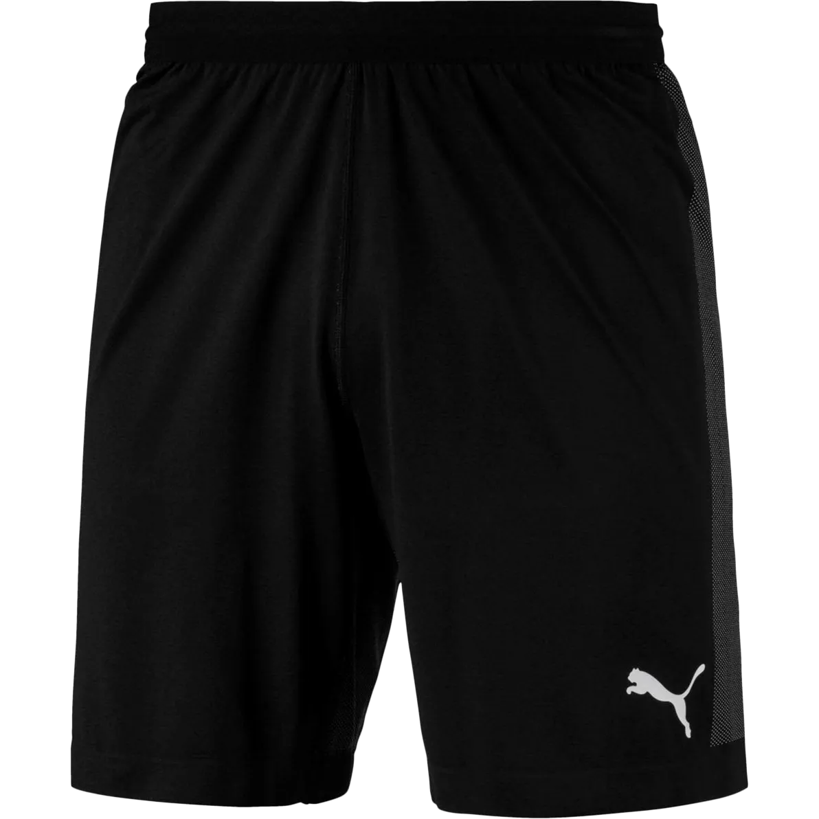 Short EVOknit Final Homme