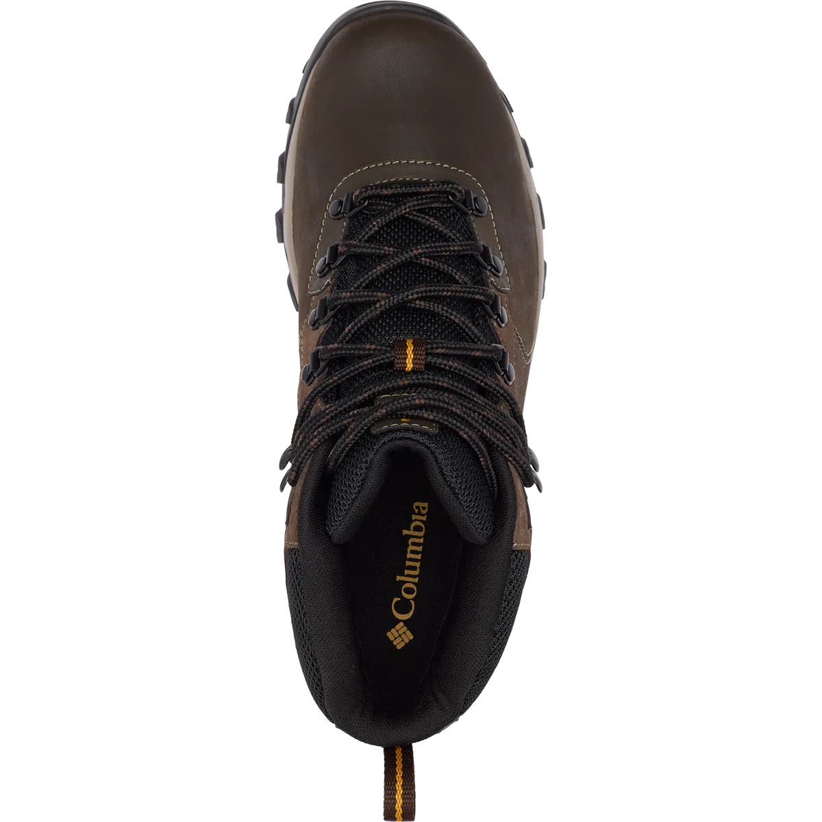Chaussures Asics Newton Ridge Plus II Imperméables - Large