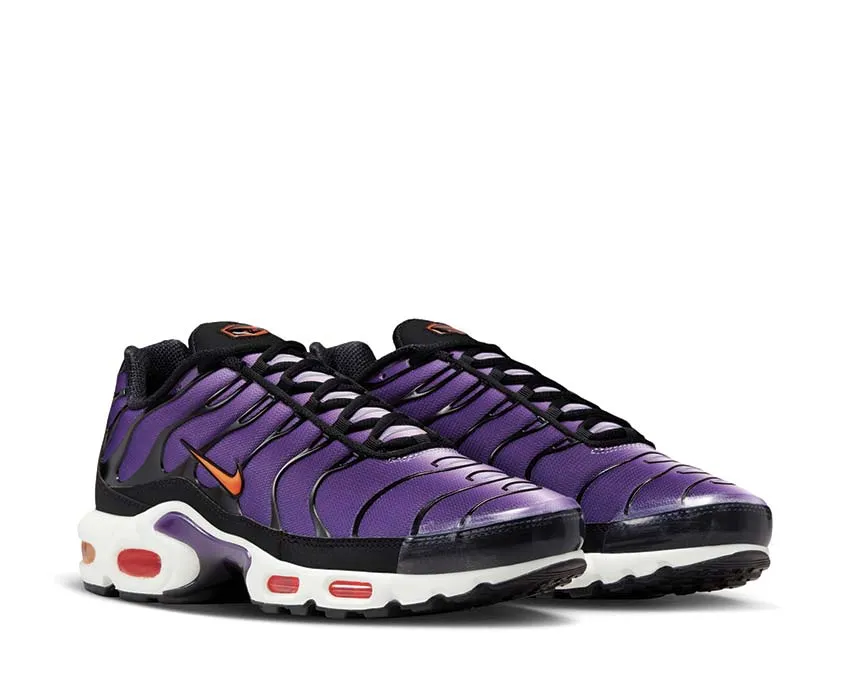 Chaussures Nike Nike Air Max Plus OG