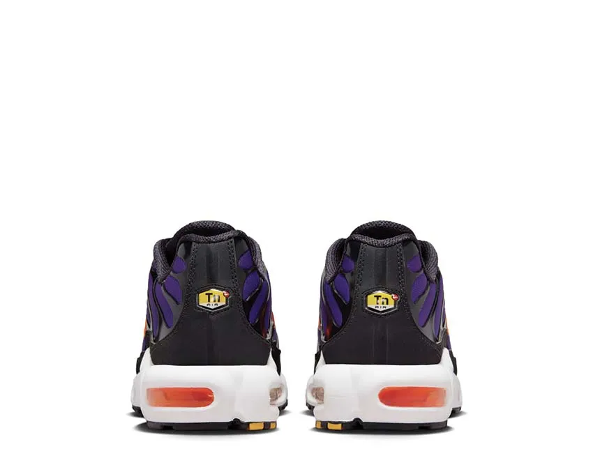 Chaussures Nike Nike Air Max Plus OG