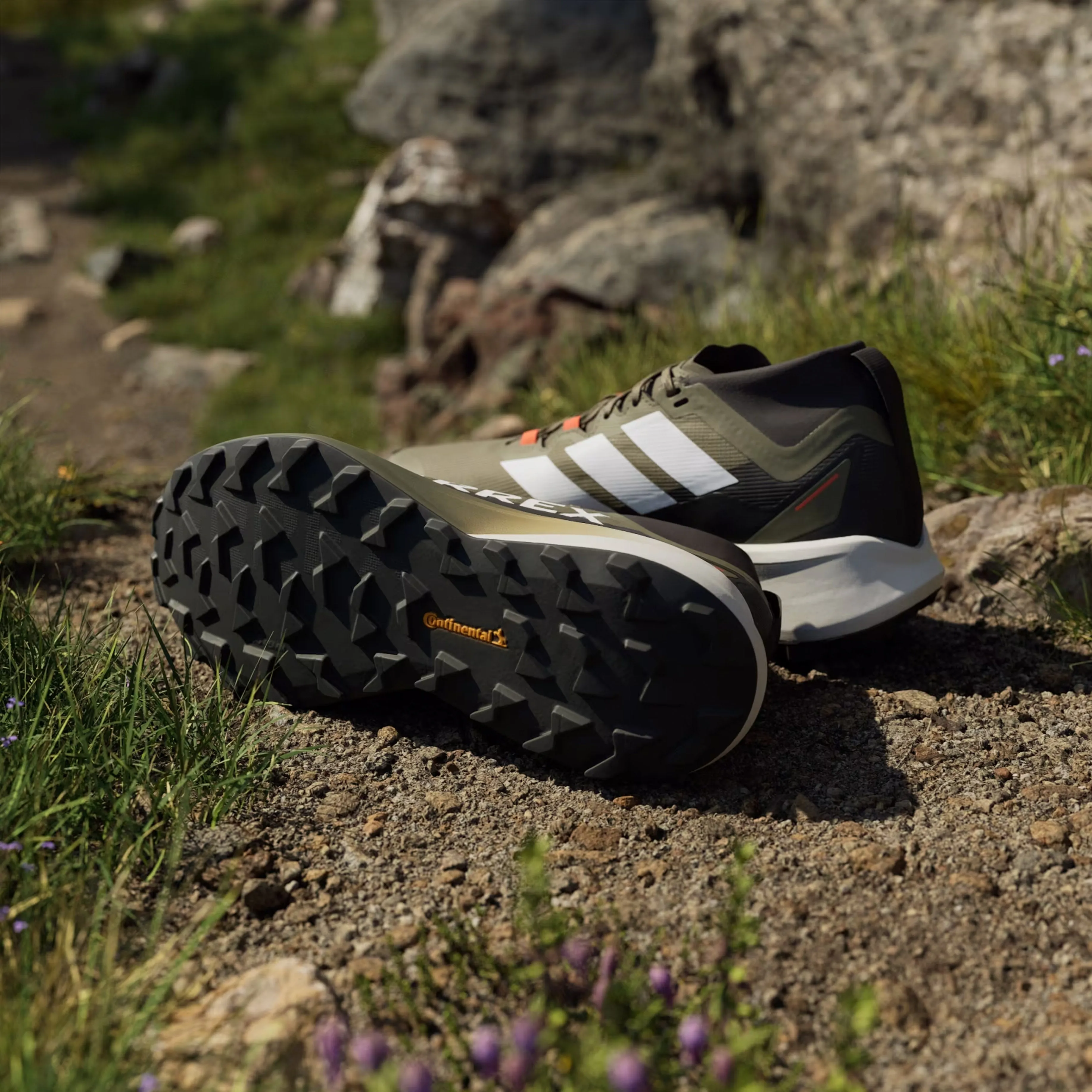 Chaussures Adidas Terrex Homme Chaussures de trail Adidas Terrex Agravic Noir / Vert