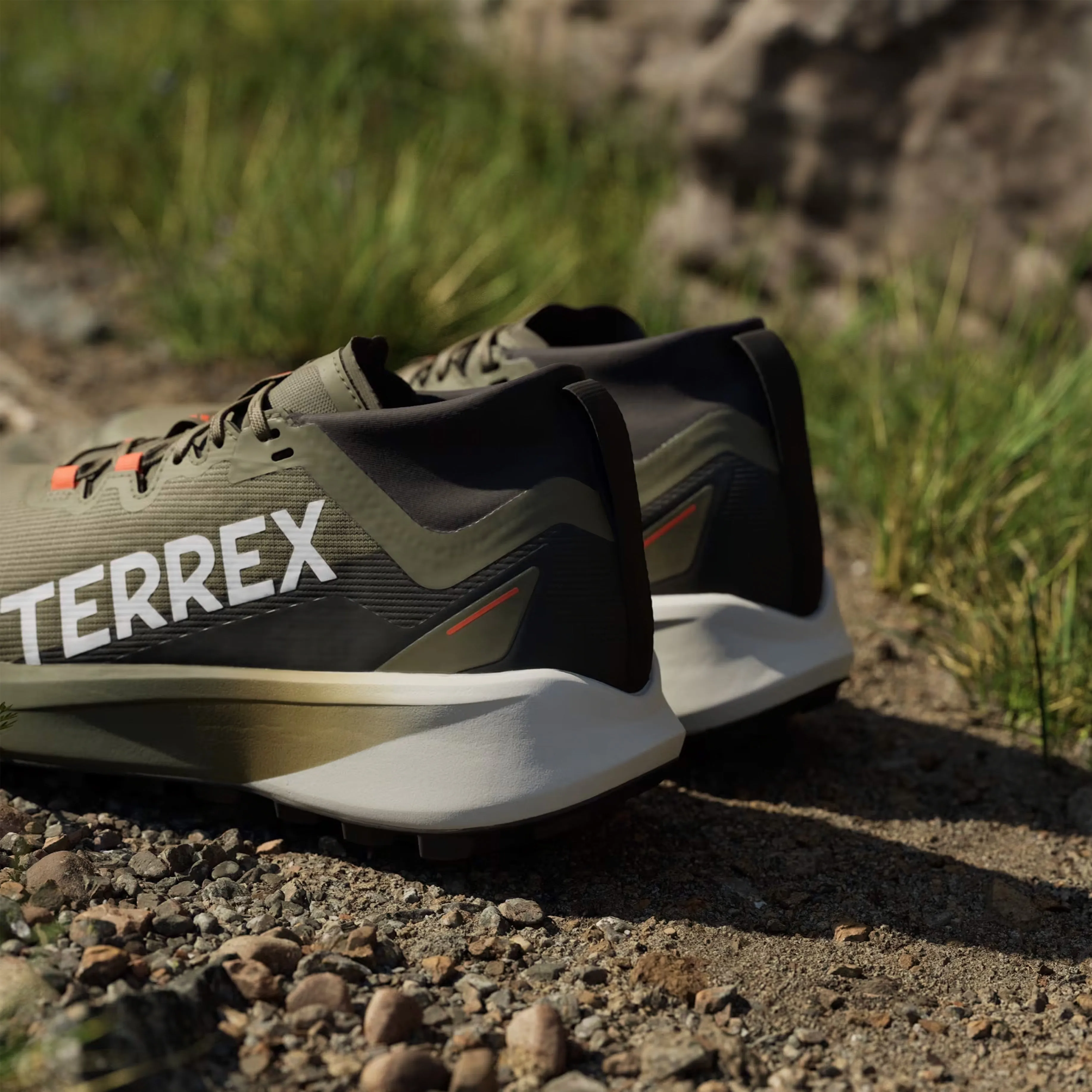 Chaussures Adidas Terrex Homme Chaussures de trail Adidas Terrex Agravic Noir / Vert