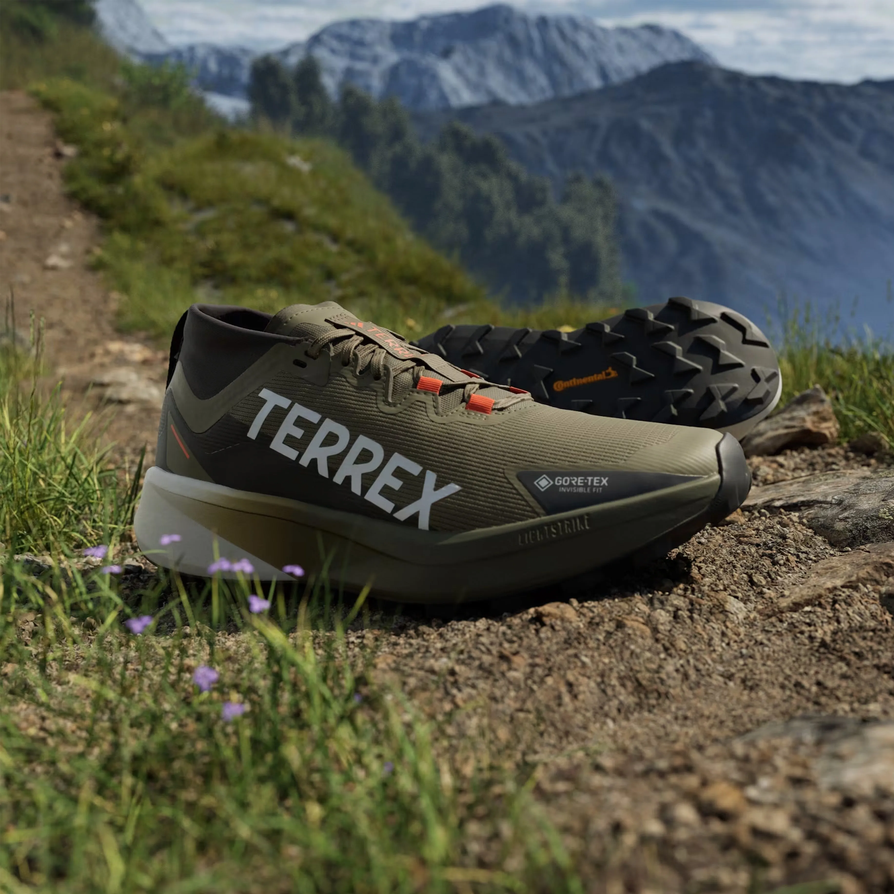 Chaussures Adidas Terrex Homme Chaussures de trail Adidas Terrex Agravic Noir / Vert